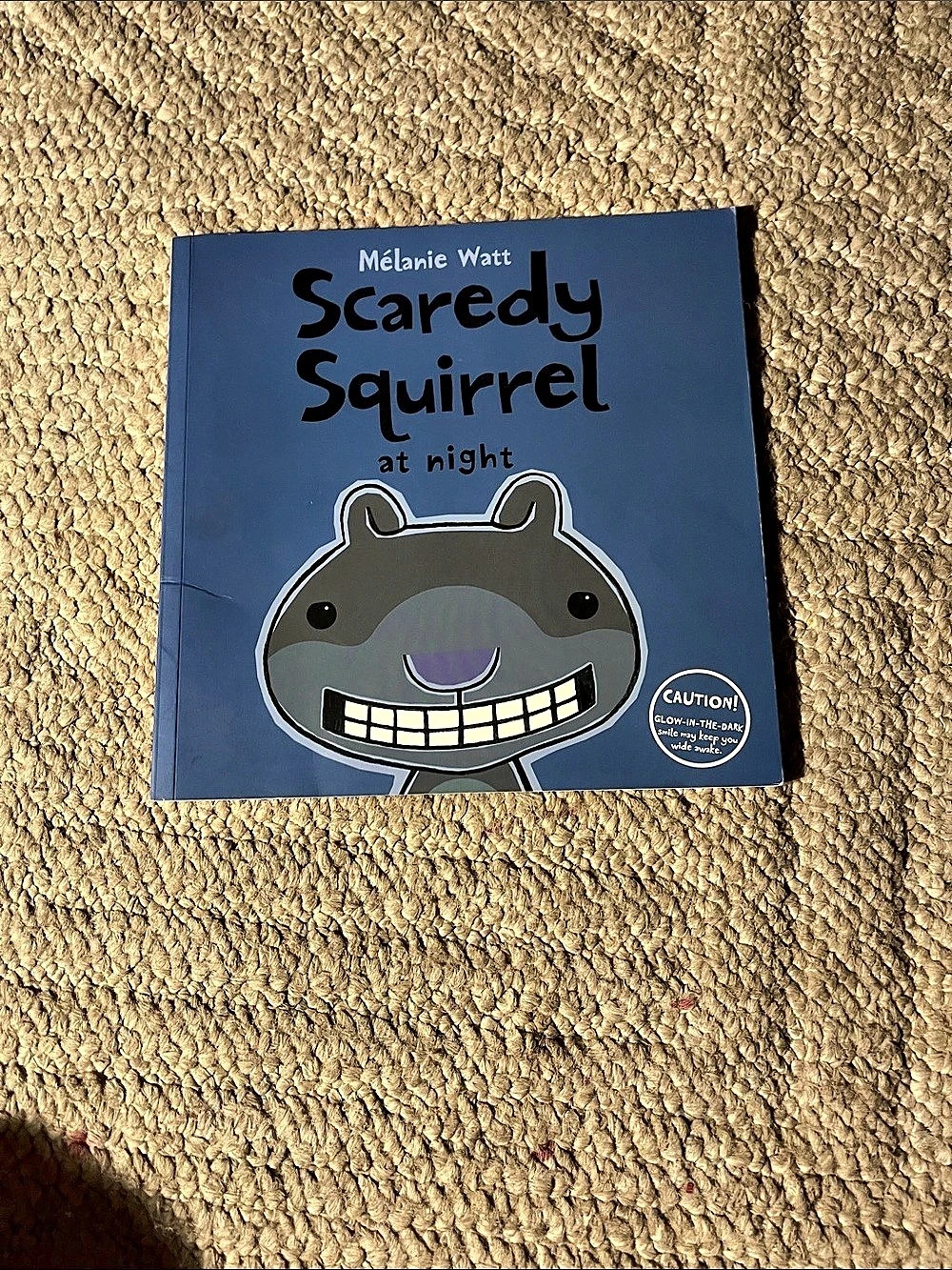 Kids Can Press Scaredy Squirrel at Night Picture Book